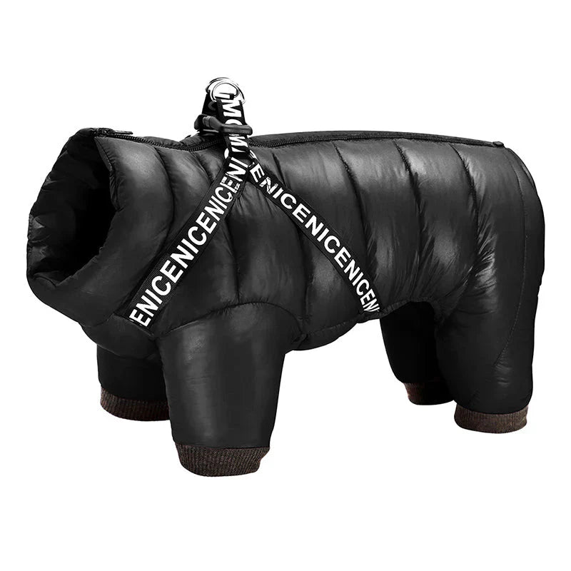 Winter Dog Jacket - FrostGuard