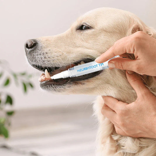 ChewClean Pet Toothbrush Stick