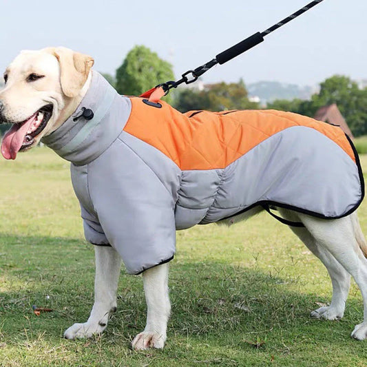 All-Weather Pet Coat – RainRover